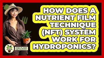 How Does A Nutrient Film Technique (NFT) System Work For Hydroponics? - The Plant Enthusiast