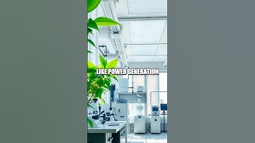 Exploring the Environmental Potential of AI in Carbon Capture