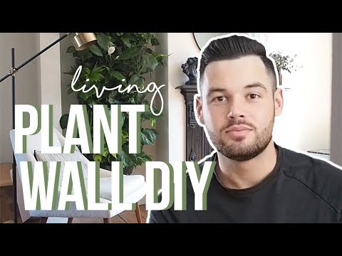 Video: Indoor Living Wall Planter