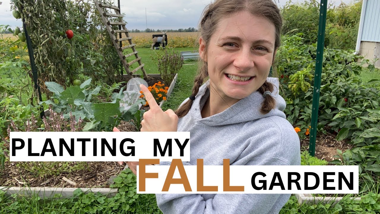 Getting Ready For The FALL Garden! Amending Beds and Planting Fall