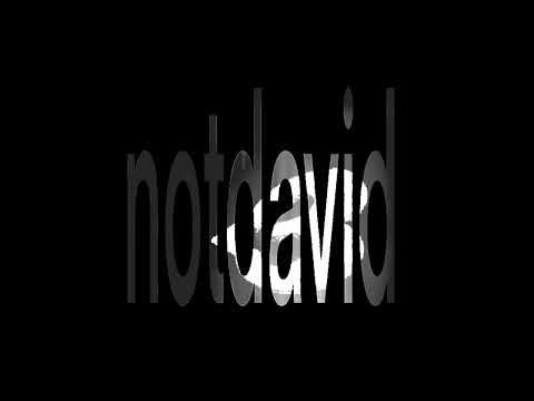 Notdavid Not Love