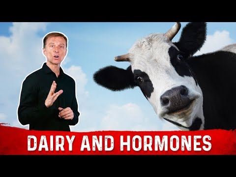 Dairy and Your Menstrual Cycle and Female Hormone