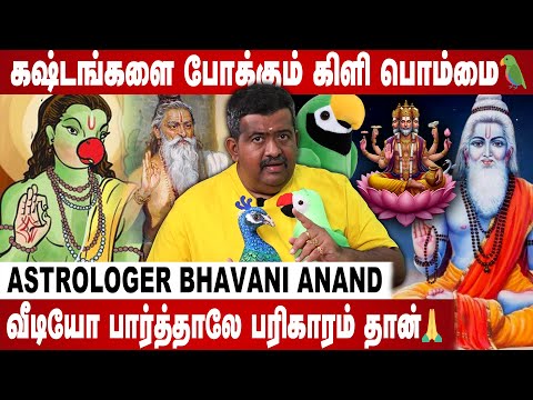Please pray… Sugabrahma Maharishi will come in person.. | Astrologer Bhavani Anand | #parrot
