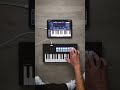 Launchkey Mini 25 MK4 x Klevgrand Tomofon | Chords in Motion