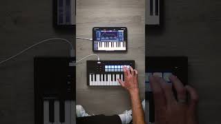 Launchkey Mini 25 MK4 x Klevgrand Tomofon | Chords in Motion