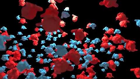 Blender - ParticulesTest02 Boids 01 Fight02