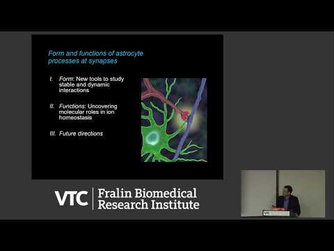 Video: Hydrolase Epoksida Terlarut Memodulasi Tindanan Kekebalan Dalam Astrocytes Yang Diaktifkan Yang Melibatkan Pengawalan Aktiviti STAT3