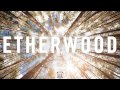 Etherwood - Behind The Lights