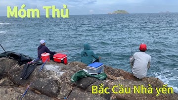 Câu Cá Biển Tự Nhiên, Câu Ghềnh, Cá Dò, Cá Đỏ, Cá Cót, Cá Đù, Cá Chàm, Nhà Yến Bãi Bấc. TÝ FISHING
