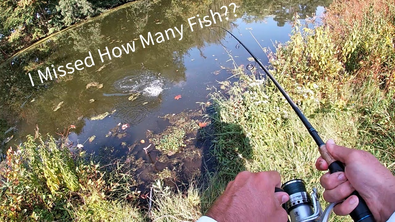 Bass Fishing Unfished Waters