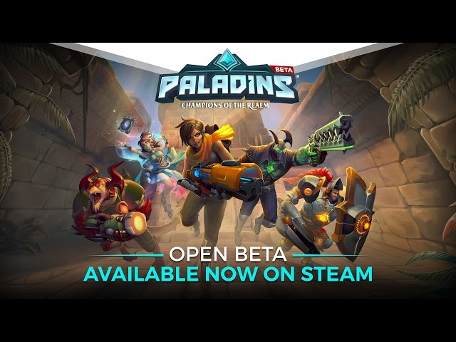 Paladins