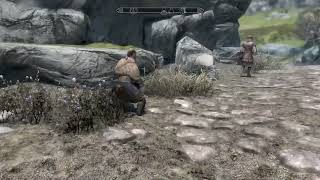 Skyrim Noble Steed