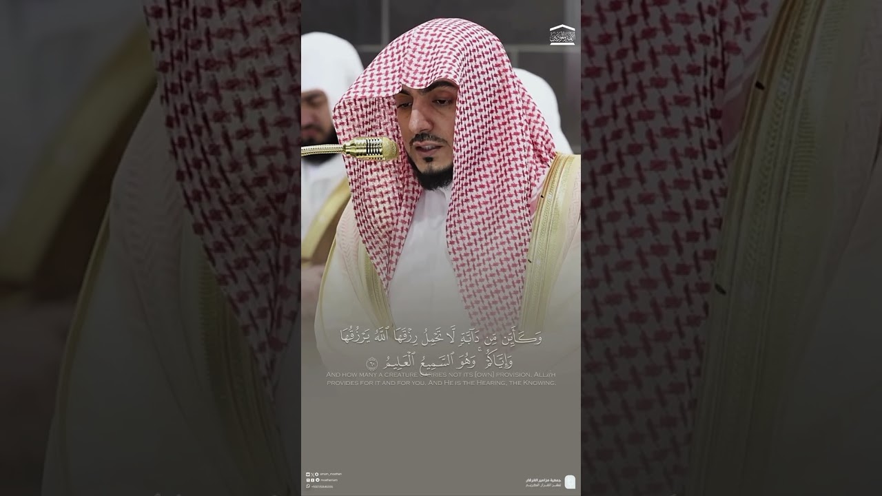 مقتطف من تلاوة فضيلة الشيخ د.#الوليد_الشمسان من صلاة التهجد ليلة 23 رمضان 1446هـ