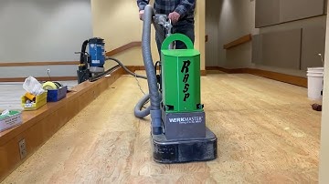 DIY - How to Remove Carpet Glue on Wood Floors Fast with the Rasp Wood Sander! No SANDPAPER!
