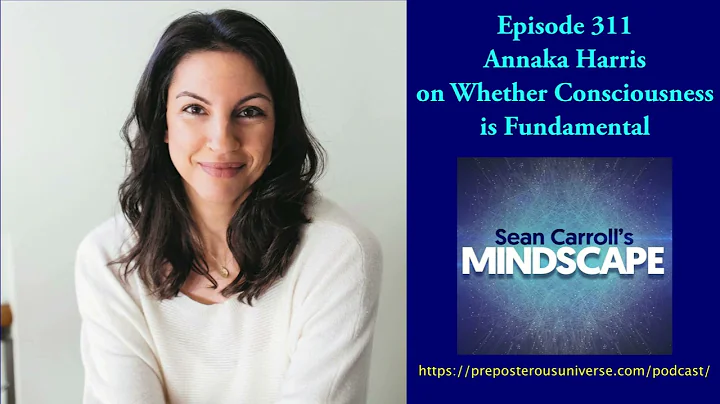 Mindscape 311 | Annaka Harris on Whether Consciousness Is Fundamental