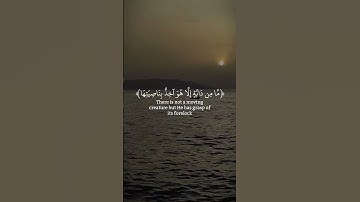 #توكلت_على_الله 🌹❤️ #quran #اكسبلور تلاوة تلامس القلب عطرة خاشعة #مزامير_داوود