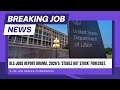 Breaking Job News: BLS Jobs Report Drama &amp; 2026's 'Stable But Stuck' Forecast