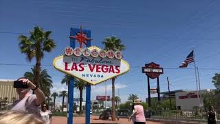 Las Vegas: Day 1