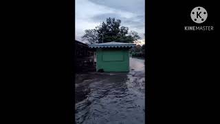 Flood Inburi school