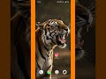 Instagram Story Download Without Any App!💥✅