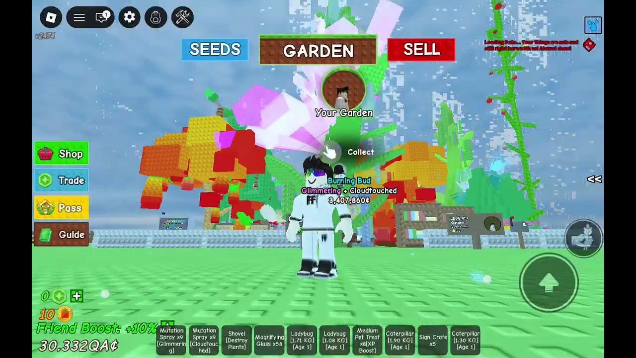 New bird nest update!