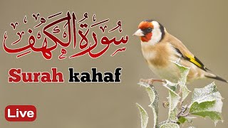 Surah Kahf live | Quran Tilawat | سورة الكهف كامله الشيخ عبد الباسط عبد الصمد | By Salman Ashrafi