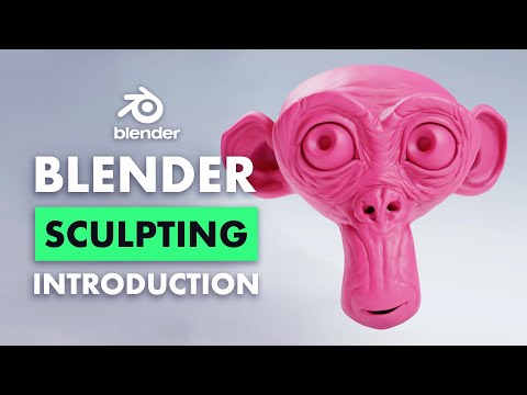 Introduction to Sculpting