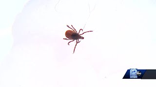 Lyme disease symptoms resemble COVID-19