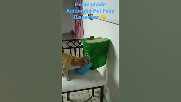 Automatic Home-made Pet Food Dispenser with Arduino, Servo Motor SG90 and HCSR04 Ultrasonic Sensor.