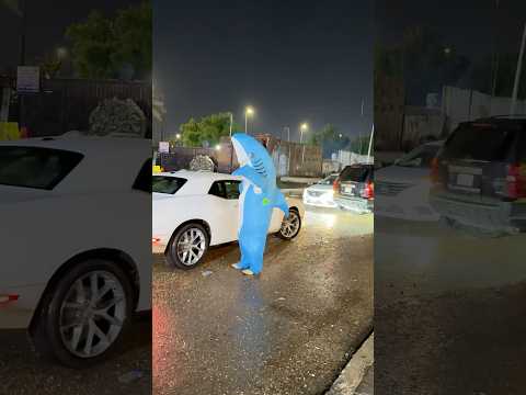 القرش شوارع بغداد بعد الامطار