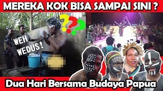 Download Lagu Papua bukan hanya koteka saja, Dua hari bersama budaya Papua, MP3