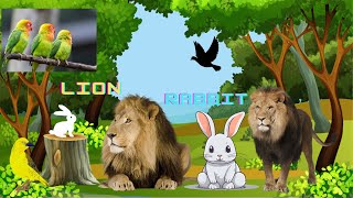 The lion story | The jungle story | The lion and a clever rabbit | animals | lion | moral story