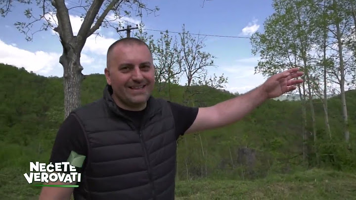 NEĆETE VEROVATI - Radosav Roki Begović, nekrunisani „Kralj srpske dvojke”