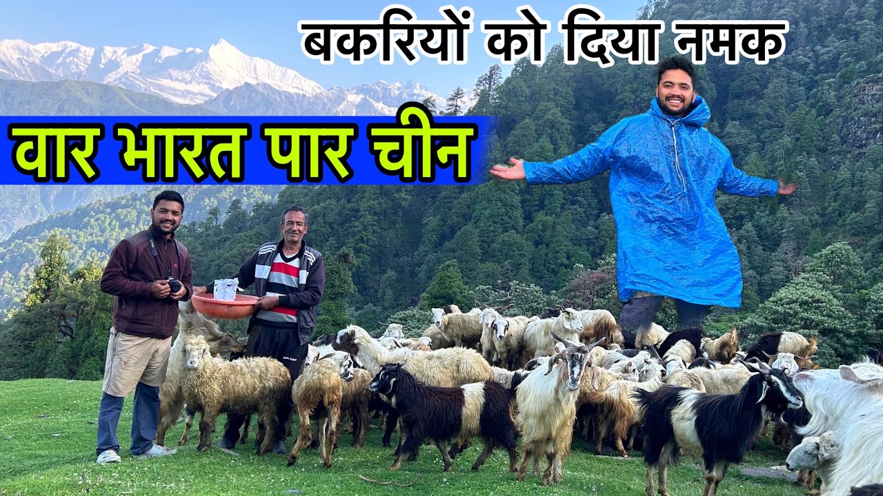 हिमालय के सामने पहुँच गए 😲 भेड़ बकरियों को नमक खिलाने Pahadi lifestyle ~ Arjun Khalptia vlogs