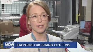 Preparing for Primary Elections