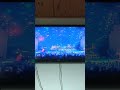 Elton John Little Jeannie Life In The Madson Square Garden NY 2000 