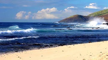 تلاوة برونزية لسورة القيامة بصوت الشيخ وديع اليمني