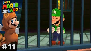 Sauvetage Express De Luigi - Super Mario 3D Land 