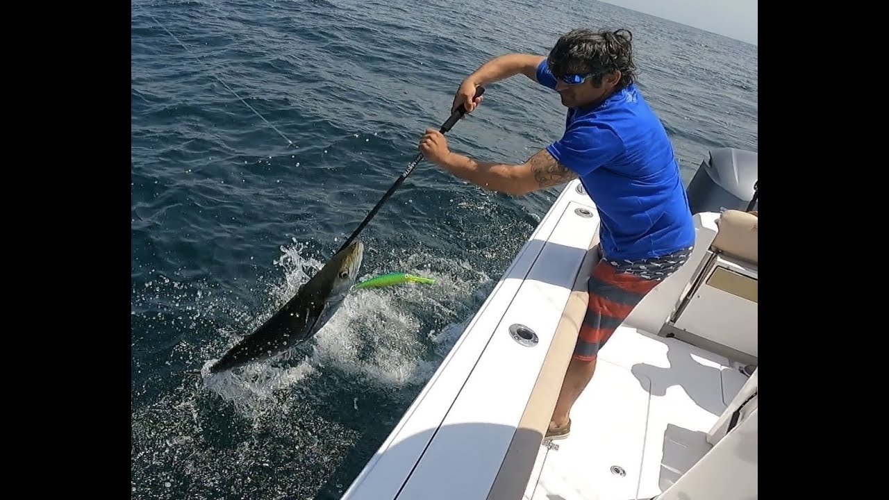 FOUR HOUR OFFSHORE GUIDED FISHING CHARTER (DEEP SEA FISHING) Savannah