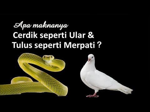 Video: Apa yang dimaksud dengan cerdik dalam Alkitab?