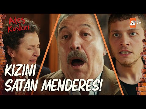 Nizam her şeyi