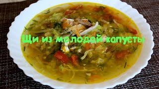 Настоящие Русские ЩИ. Как приготовить вкусные щи из молодой капусты.