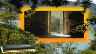 What a Wonderful World - Harmonica chromatique
