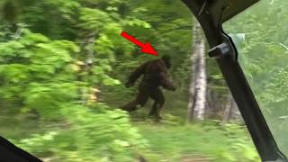 Most Believable Bigfoot Sightings Across America!