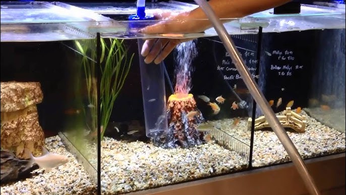 Aquarium Siphon Fish Tank Syphon Vacuum Cleaner Aspiradora