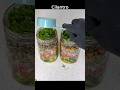 Lemon Garlic Chickpea Jar Salad