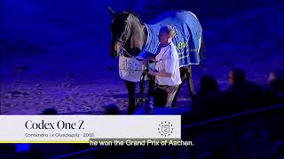 Codex One Z - Zangersheide Stallion Presentation 2023