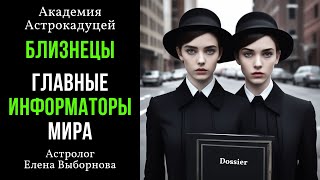 Близнецы. Главные информаторы мира и их чёрное досье