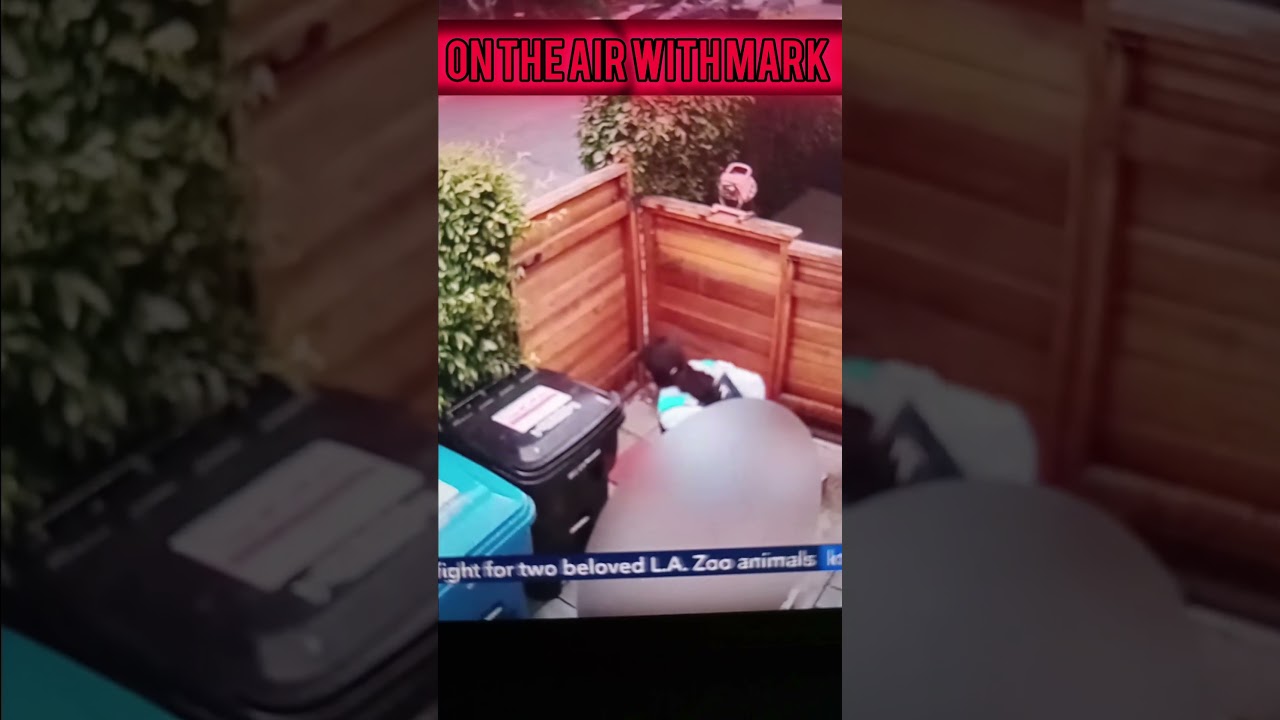 life is like a box of chocolates 