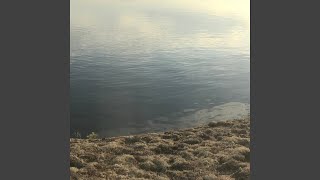 FI3AC2139300